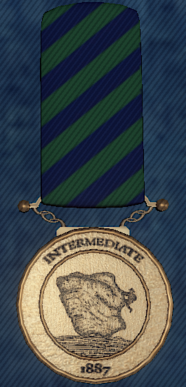 Intermediate medal.png