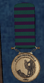 Fundamentals Medal