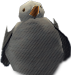 Seagull icon.png